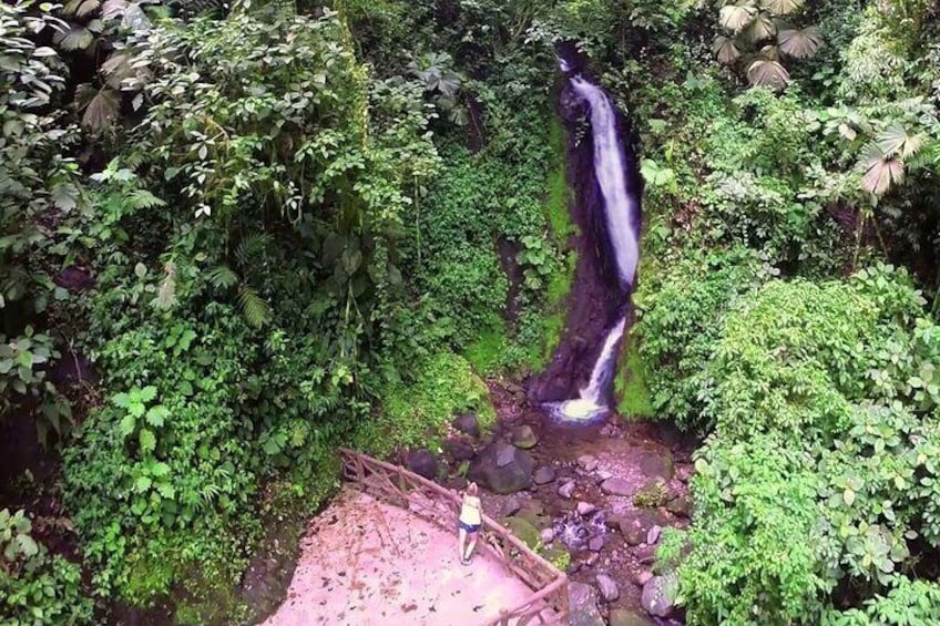 Mistico Park Hanging Bridges