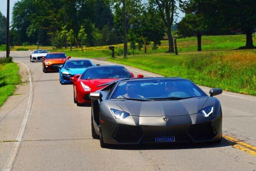 6 Hr Exotic Car Tour driving 6 Super cars + Lunch