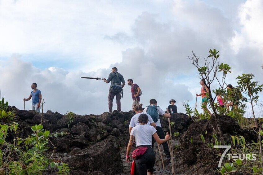 Arenal Highlights (arenal 1 Day) + Baldi Hot Springs & Dinner