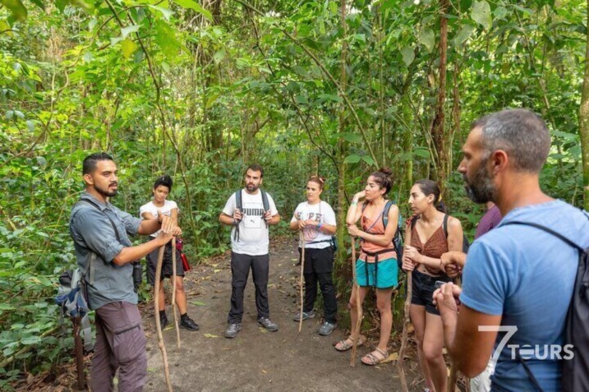 Arenal Highlights (arenal 1 Day) + Baldi Hot Springs & Dinner