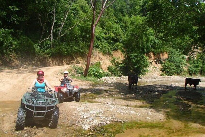 Private Tour: ATV SIERRA MADRE