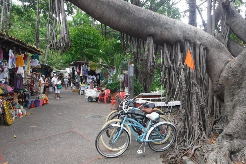 Private Tour in El Malecon Boardwalk Bike Ride