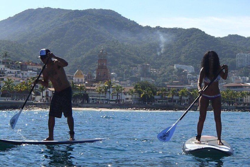 Paddle board