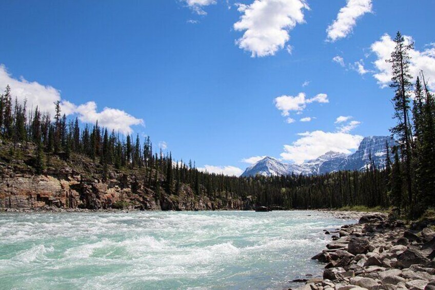 Rafting Athabasca Falls Run in Jasper