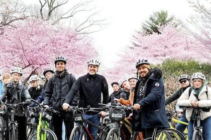 Washington DC Cherry Blossoms på cykeltur