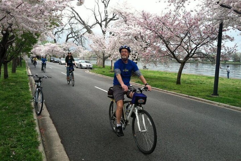 Cherry Blossom Bike Tour