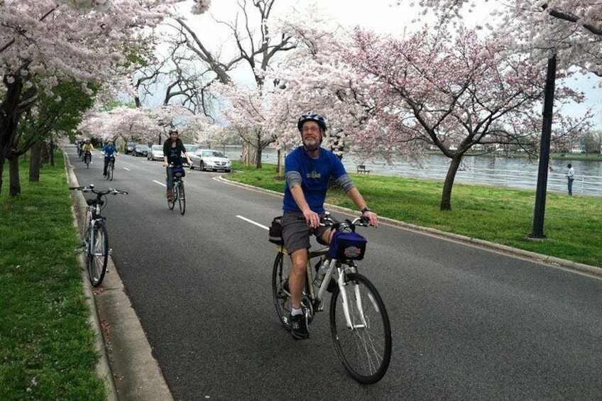 Cherry Blossom Bike Tour