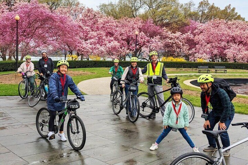 Washington DC Cherry Blossoms By Bike Tour