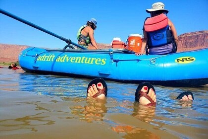 Colorado River Rafting: ochtend van een halve dag bij Fisher Towers