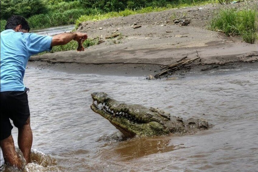 Jungle Crocodile Safari & Jaco Beach from San Jose