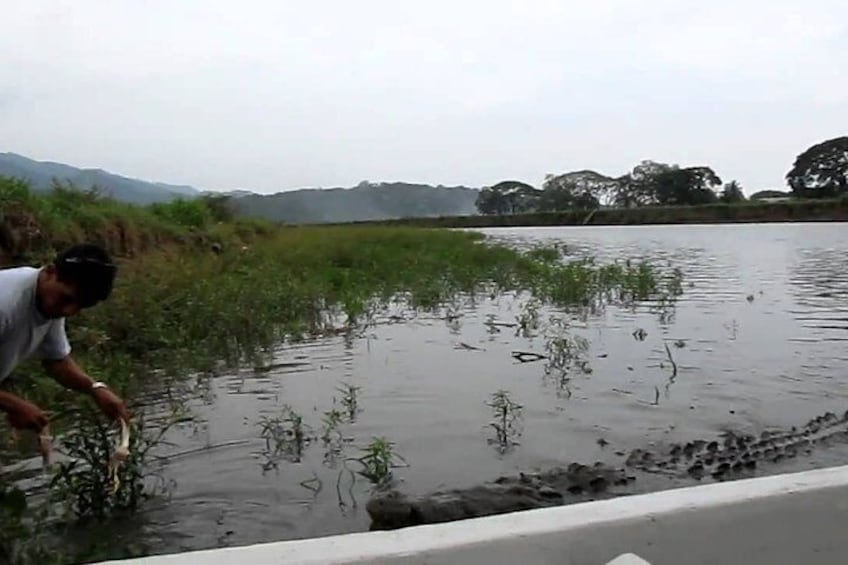 Jungle Crocodile Safari & Jaco Beach from San Jose