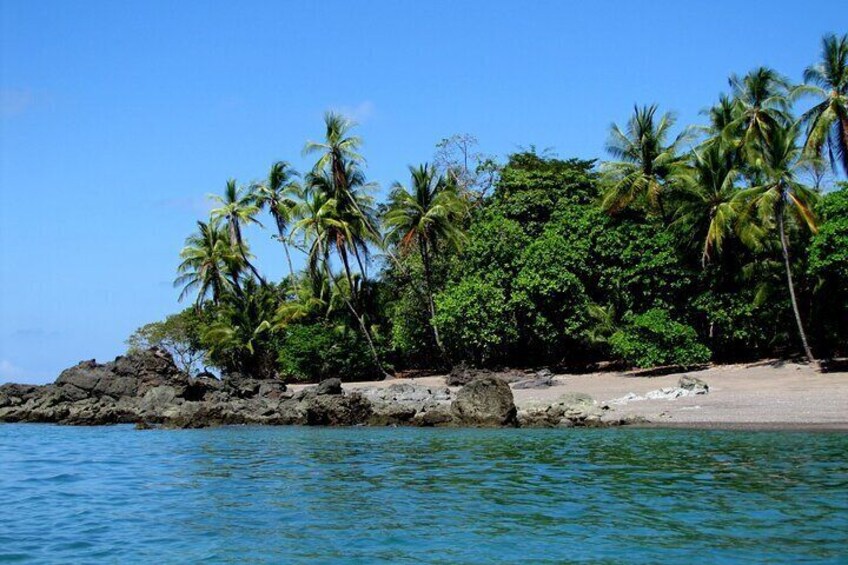 Private Day Trip from San Jose to Cahuita National Park (Caribbean Coast)