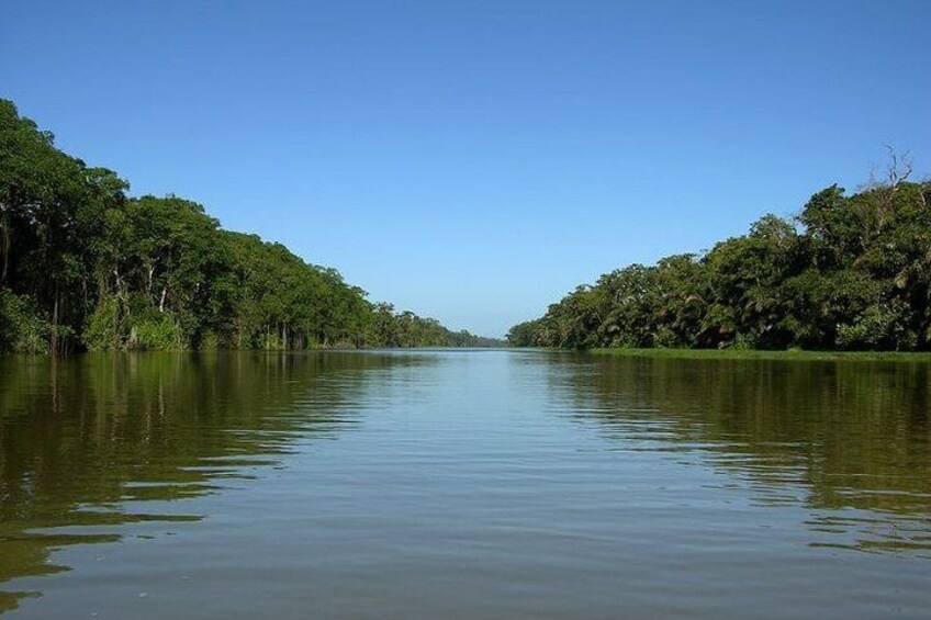 Caribbean Costa Rica: 5-Day Tour with Tortuguero National Park and Puerto Viejo