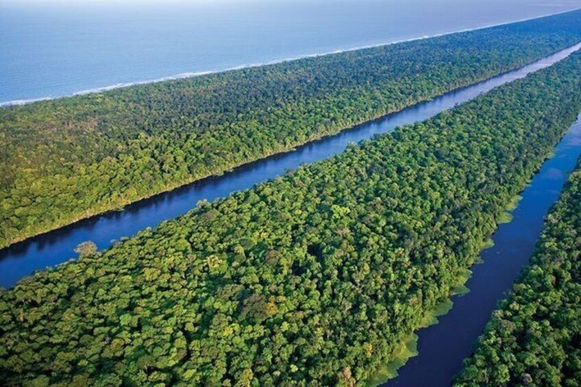 Caribbean Costa Rica: 5-Day Tour with Tortuguero National Park and Puerto Viejo