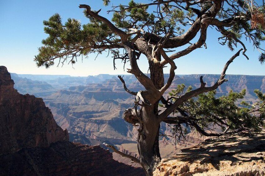Grand Canyon South Rim from Flagstaff