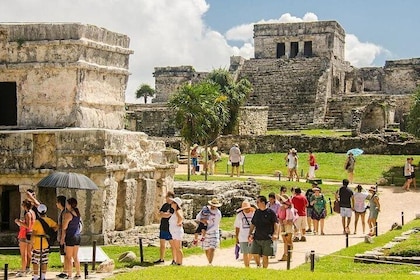Tulum, Coba, Playa Del Carmen and Cenote Tour with Tickets