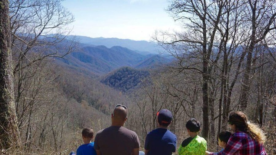 Smoky Mountain Guided Scenic High Van Tour