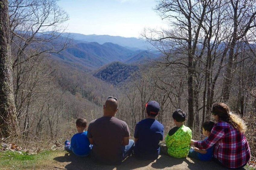 Smoky Mountain Guided Scenic High Van Tour