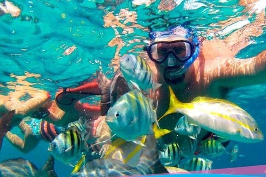 Snorkel at Faritos Reef