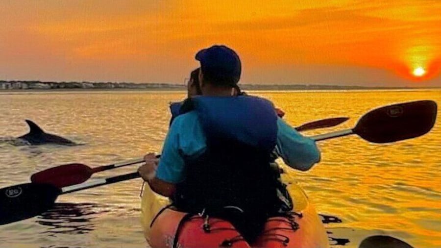Sunset dolphin and bioluminescent comb jelly tour SoBe Surf and Paddle Orlando Cocoa Beach area
