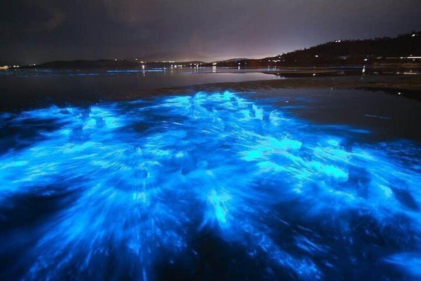 Safe easy waters for night time paddling to see the Bioluminescent Comb Jellies sparkle...