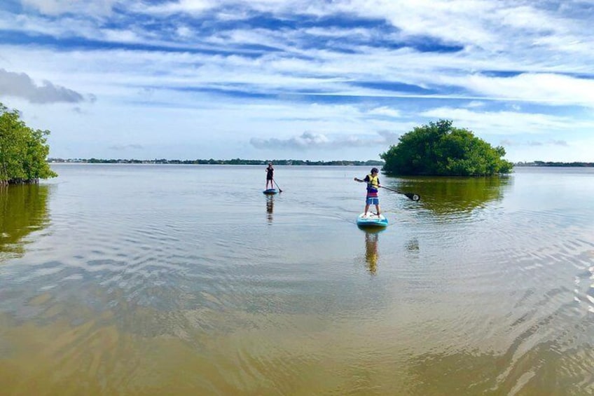 Our tours are in the Banana River Wildlife Preserve.