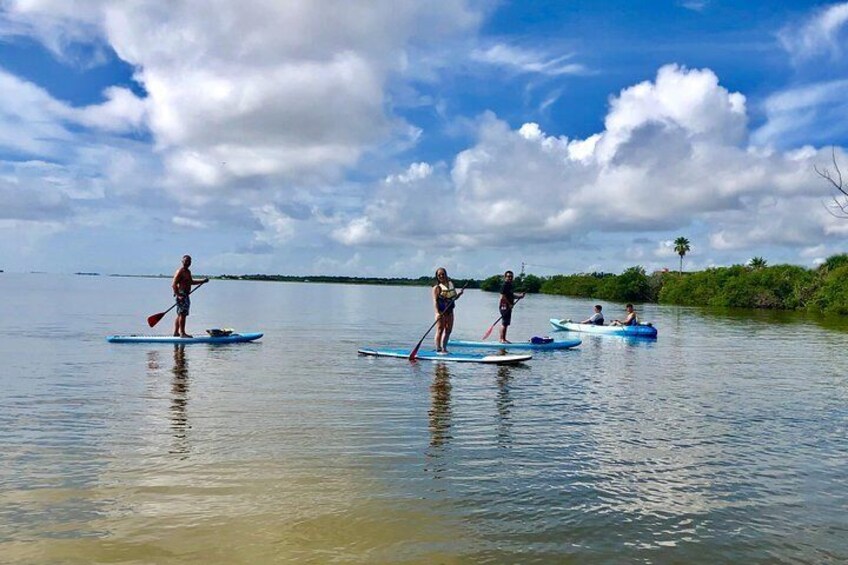 Kayaks and Paddle Boards to choose from... Easy safe waters to paddle. Great family memories captured... Photos included in tour.