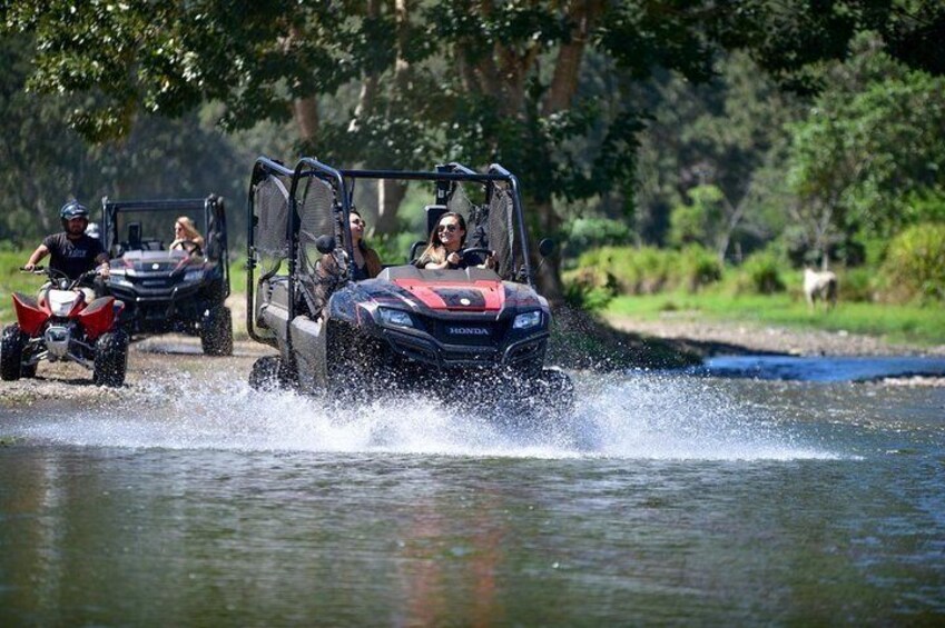 Buggy Tour from San Jose