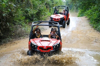 Jungle & River BUGGY Exploration. Private Tour from San Jose