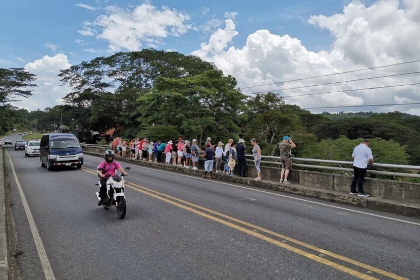Puntarenas Tour Rainforest Hanging Bridges & Skywalk by Greenway Tours.