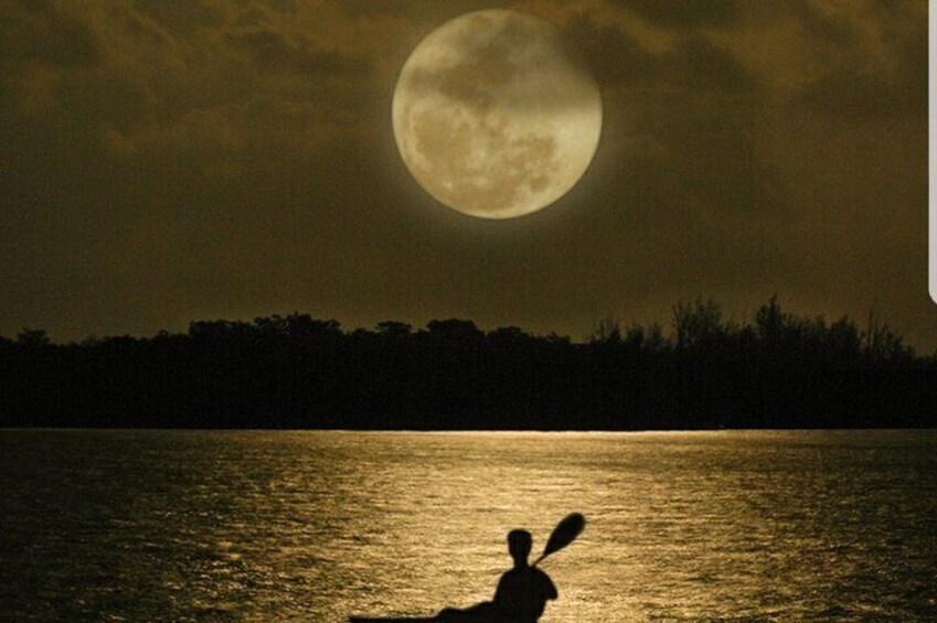 A lone paddler on a full moon night, lthe moonlight is beautiful but takes away from the bioluminescent waters. 