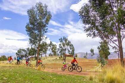 Cusco Biking Tour - MTB YUNCAYPATA + CEVICHE