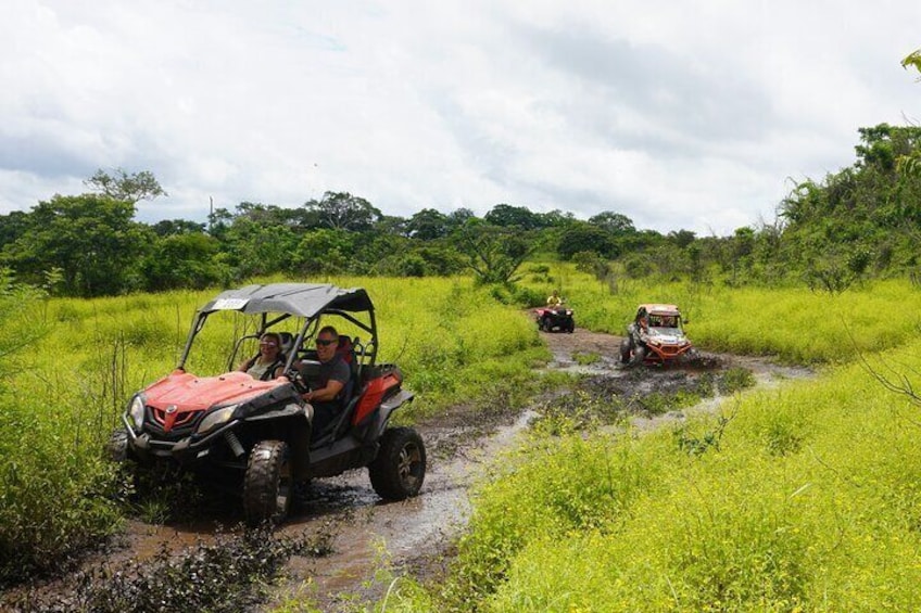 Beach-mountain & Sloth Refuge Buggy Tour