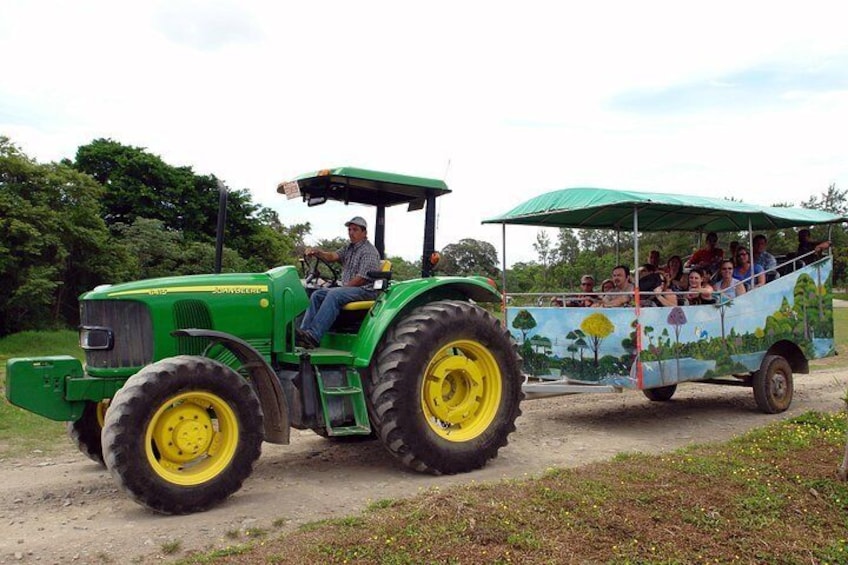 Private Rincon de la Vieja Volcano Adventure Tour From Dreams Las Mareas