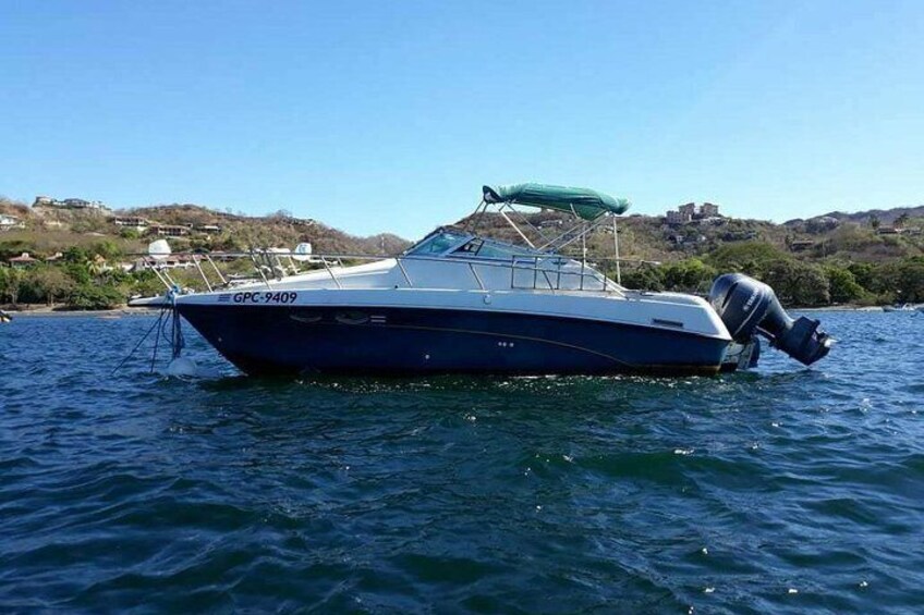 Private Boat and BBQ Tour From Dreams Las Mareas