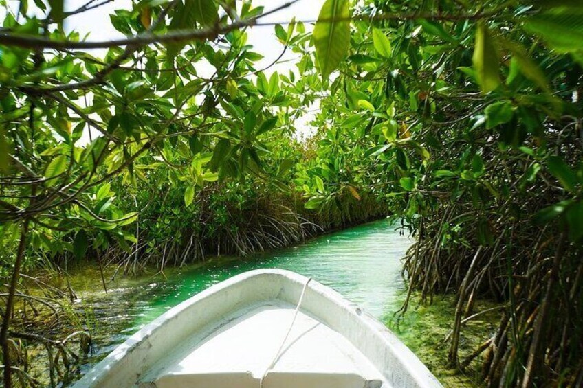 Day trip to Sian Ka'an Biosphere from Playa del Carmen