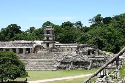 Palenque Maya ruins, guided tour from Palenque