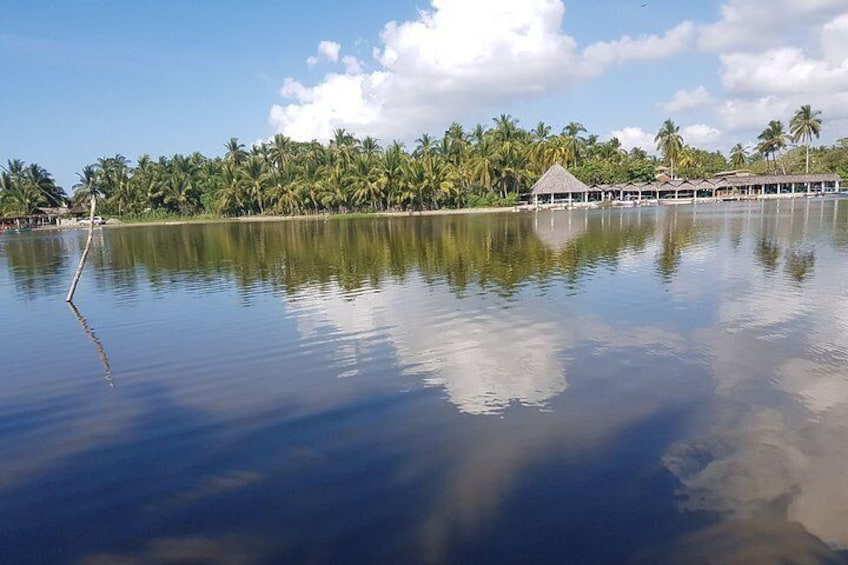 Tres Palos Lagoon, Boat Ride with Lunch Baby Turtle Release & Croc Farm Visit