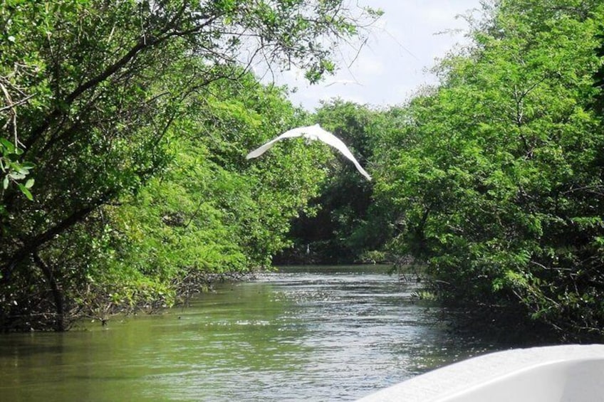 A visit to the 3 Palos Lagoon