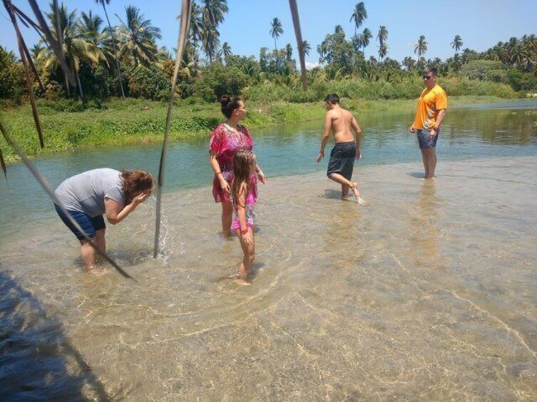 Coyuca Lagoon Baby Turtle Release Lunch & Boat Ride