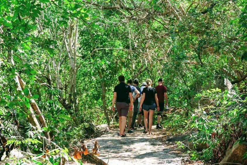 Hiking La Roqueta Island, Lunch & Drinks, Downtown, Cliff Divers 5 Hours Tour