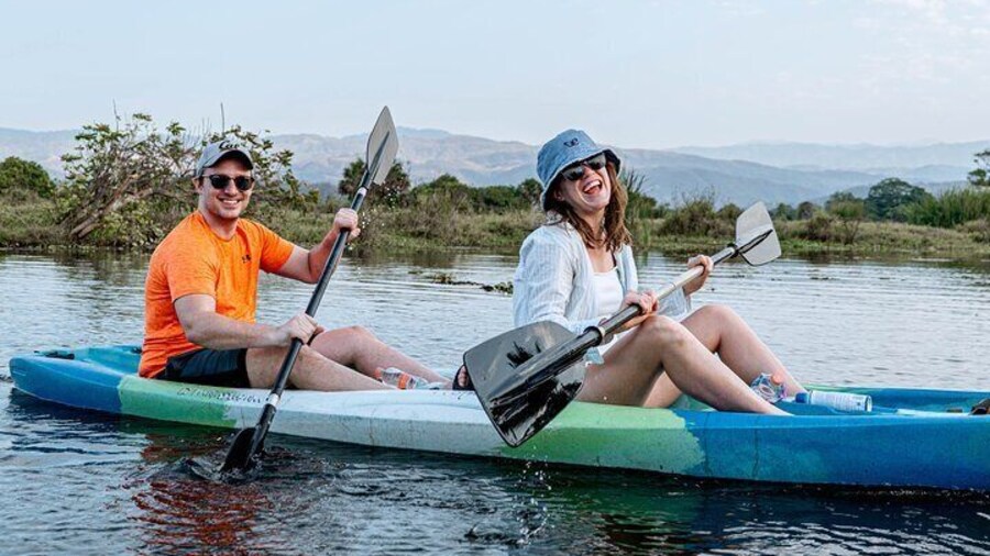 Mangrove Kayaking Tour