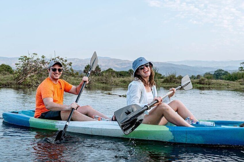 Mangrove Kayaking Tour