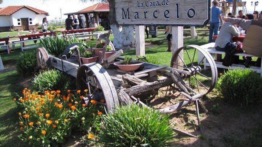 La Cava de Marcelo