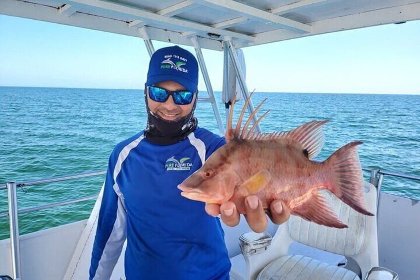 Calm Bay Fishing