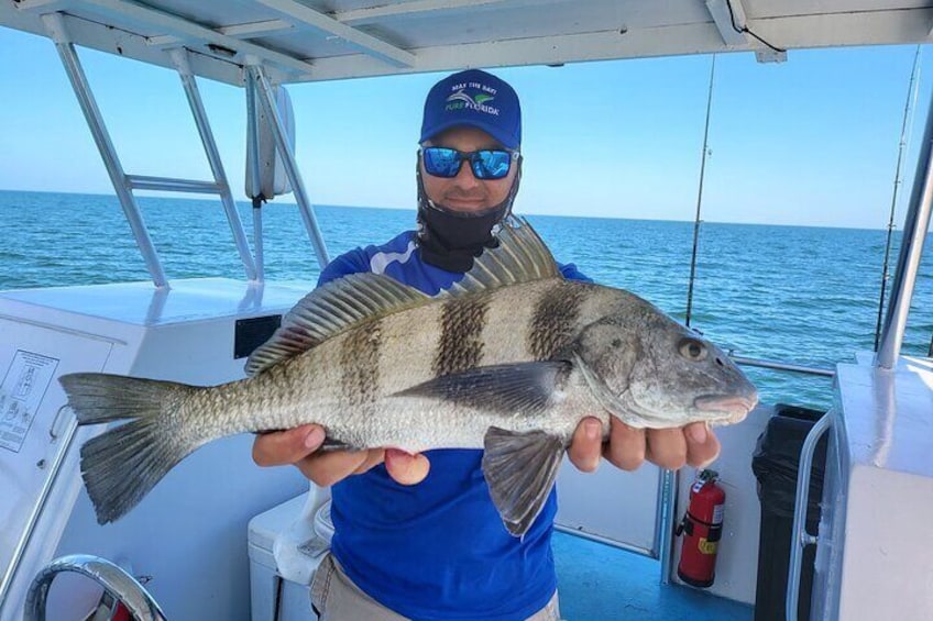 Calm Bay Fishing