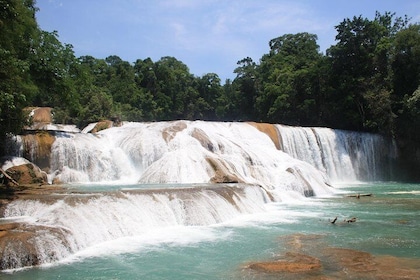 AGUA AZUL and MISOL-HA FALLS (Private tour from Palenque or San Cristobal)