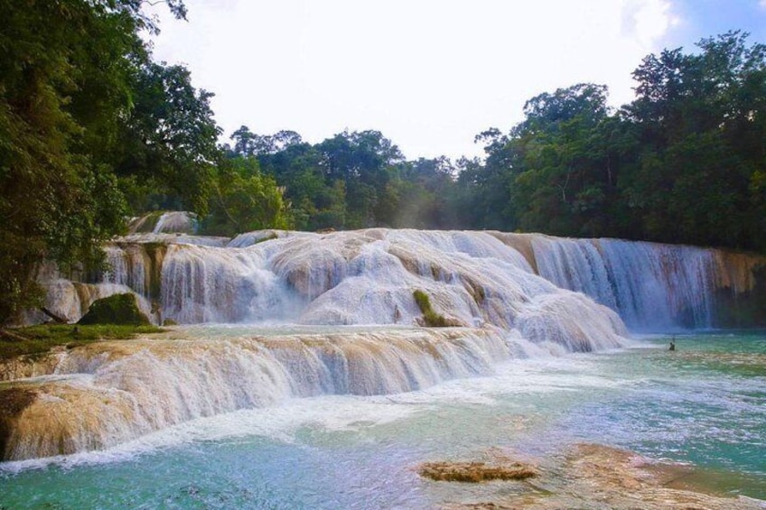 AGUA AZUL and MISOL-HA FALLS - (Private Tour from Palenque)