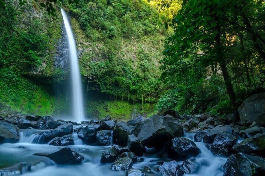 La Fortuna Waterfall and Sloth Watching Tour