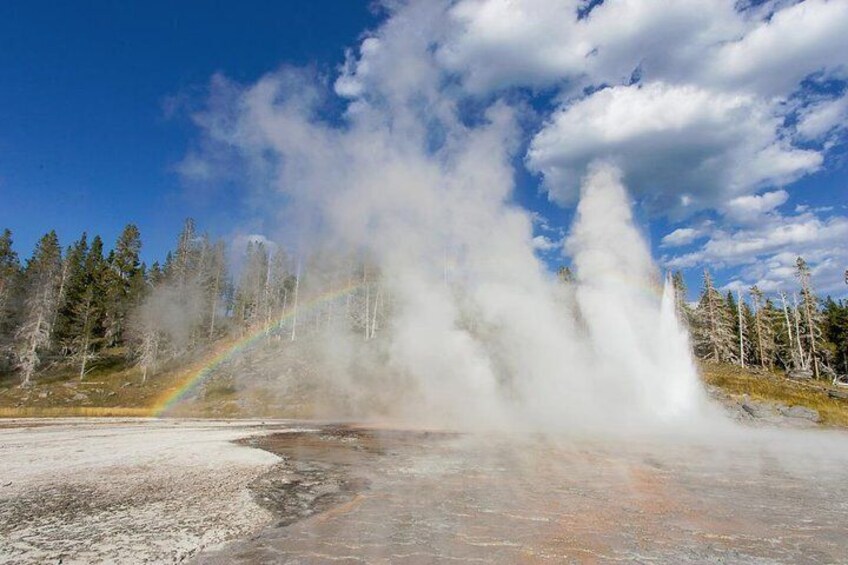 Yellowstone Lower Loop Guided Tour from Cody, Wyoming